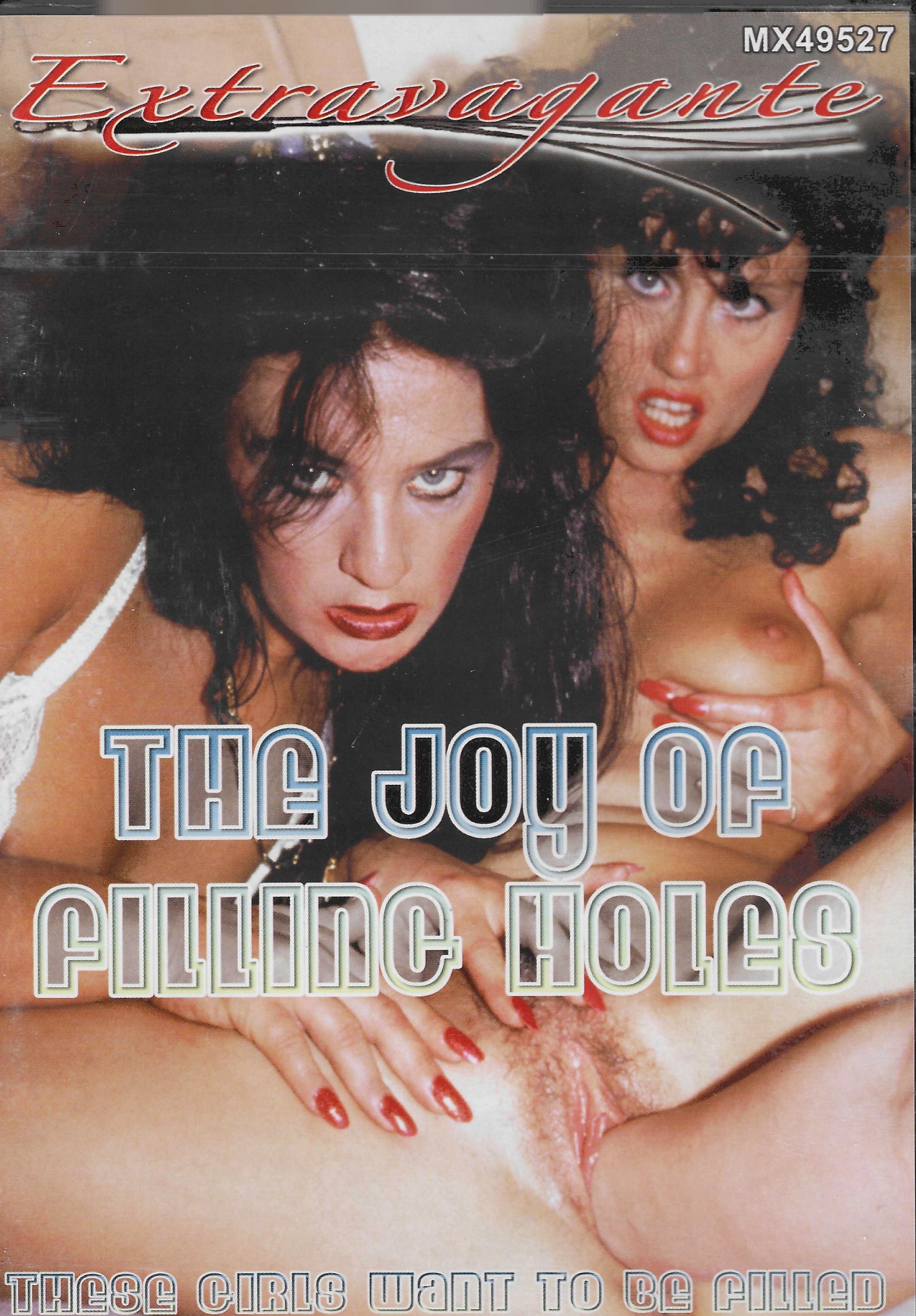 (image for) Joy of Filling Holes